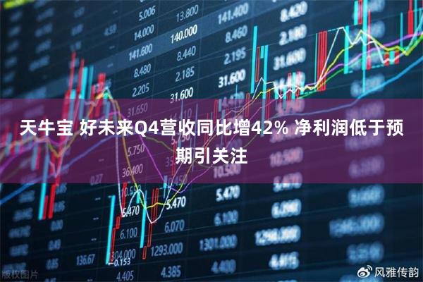 天牛宝 好未来Q4营收同比增42% 净利润低于预期引关注