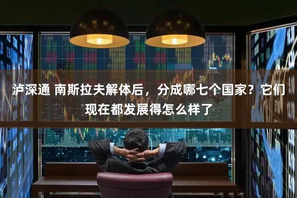 泸深通 南斯拉夫解体后，分成哪七个国家？它们现在都发展得怎么样了