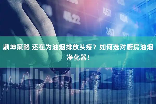 鼎坤策略 还在为油烟排放头疼？如何选对厨房油烟净化器！